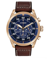 Citizen Eco-Drive Avion Watch (CA4213-18L)