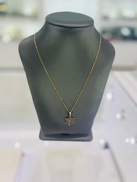 14kt Yellow Gold David Star Chain Necklace