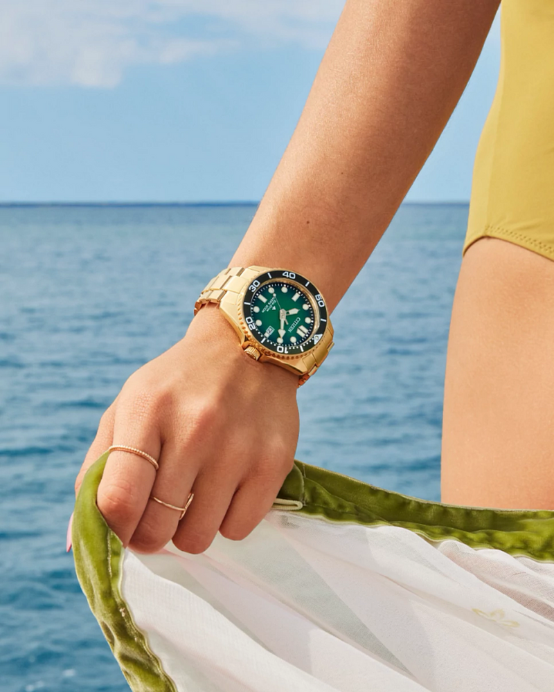 Promaster Dive BN0262-59W