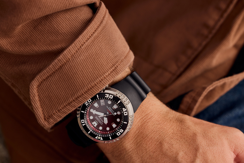 Promaster Dive E365 BN1024-01Z