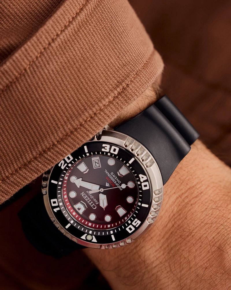 Promaster Dive E365 BN1024-01Z