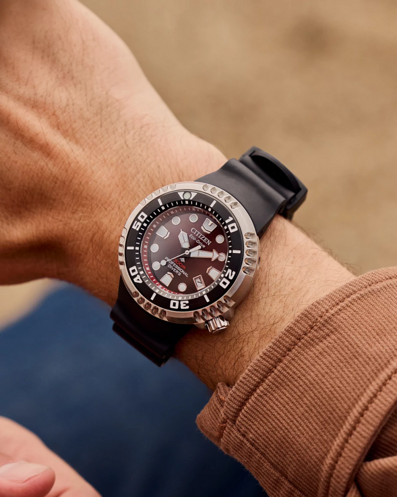 Promaster Dive E365 BN1024-01Z