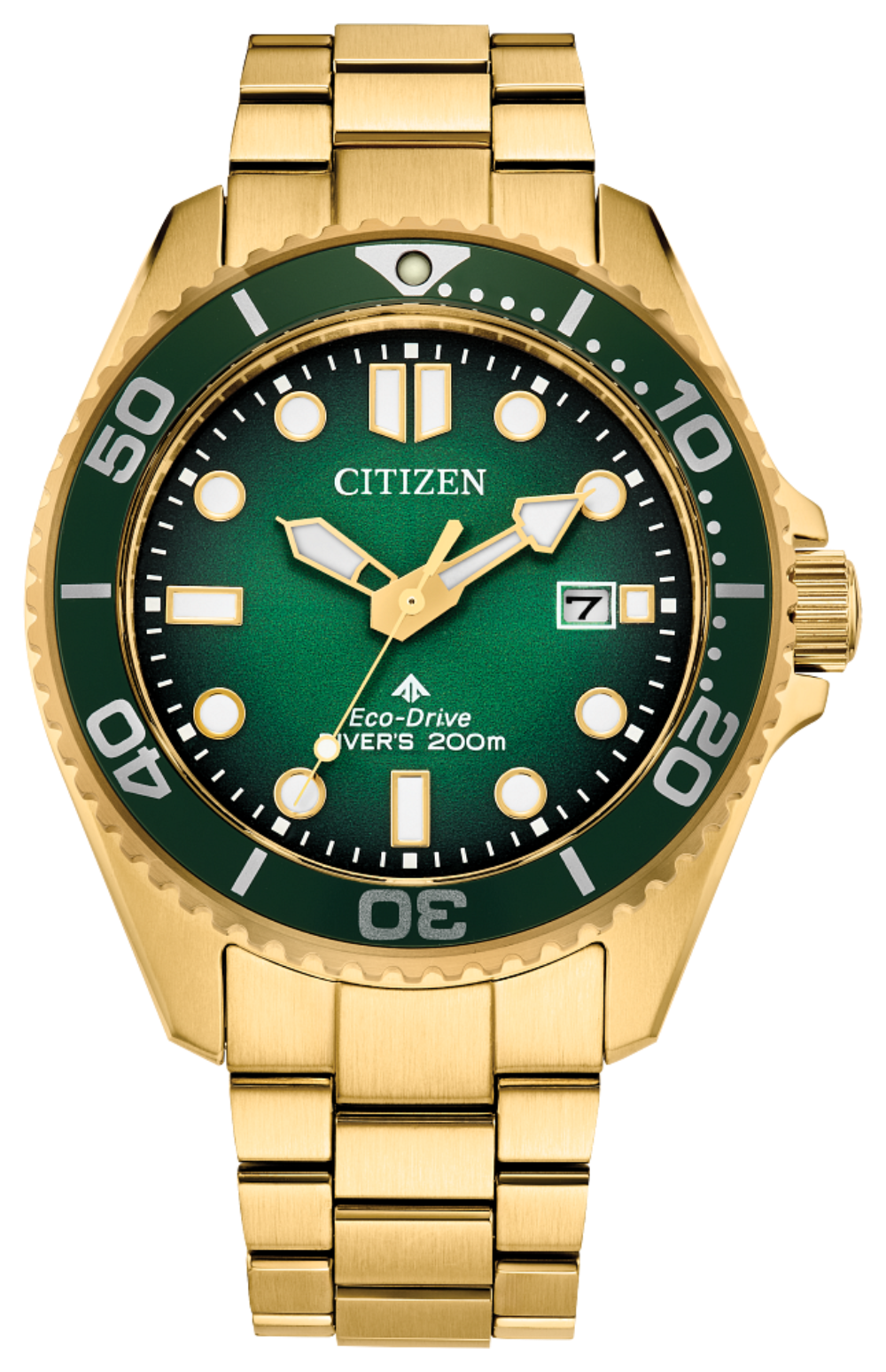 Promaster Dive BN0262-59W