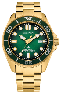 Promaster Dive BN0262-59W