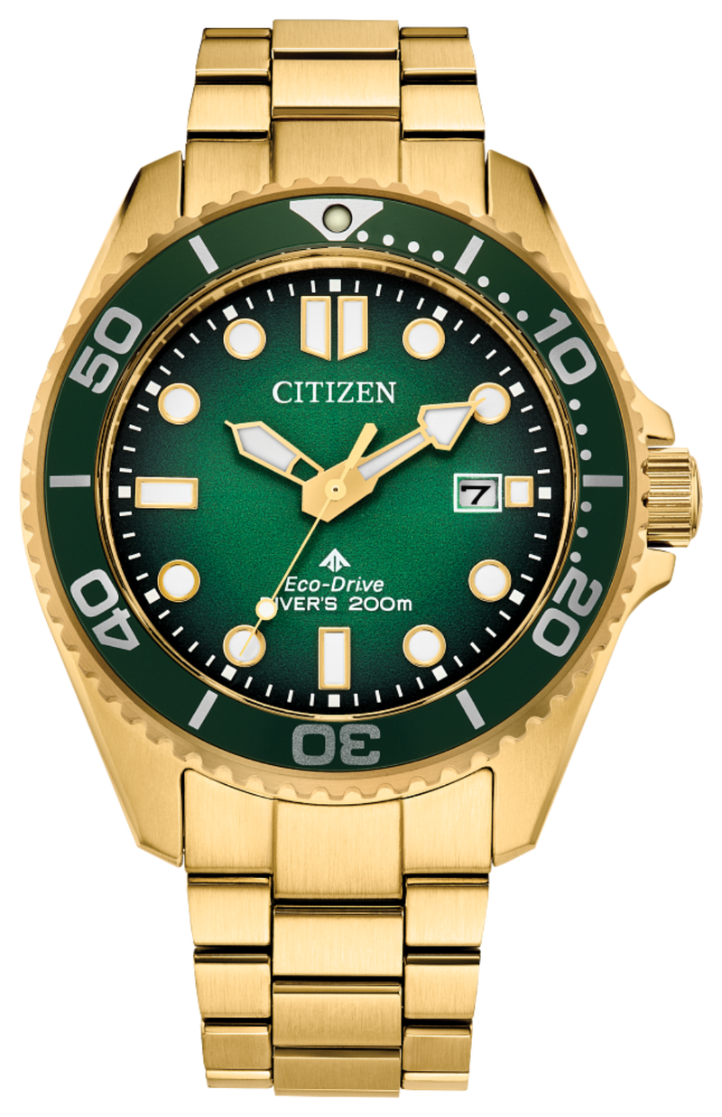 Promaster Dive BN0262-59W