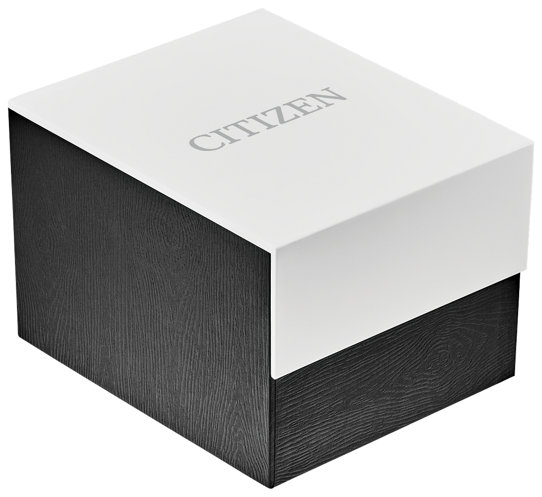 Citizen Quartz Black Men's Watch (BF2013-56E), detail