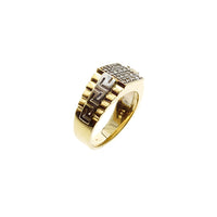 10Kt Two Tone Gold CZ Ring