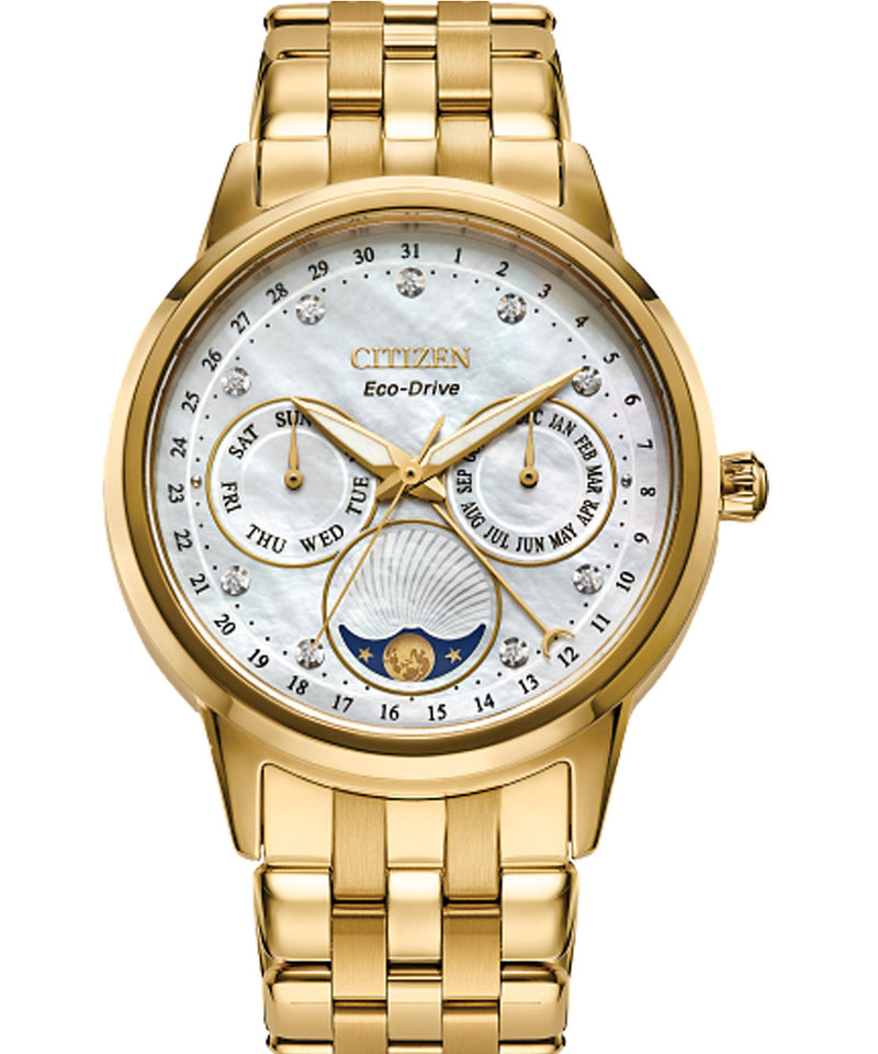 Citizen stainless steel gold on sale watch