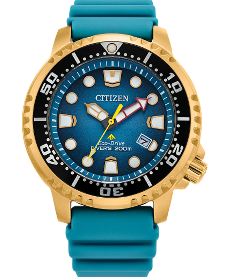 New Citizen Promaster Dive ST Steel Blue Dial Rubber Band Men's Watch BN0162-02X